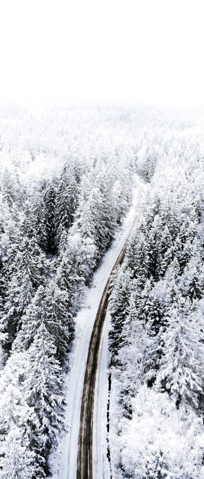 jan_img11
